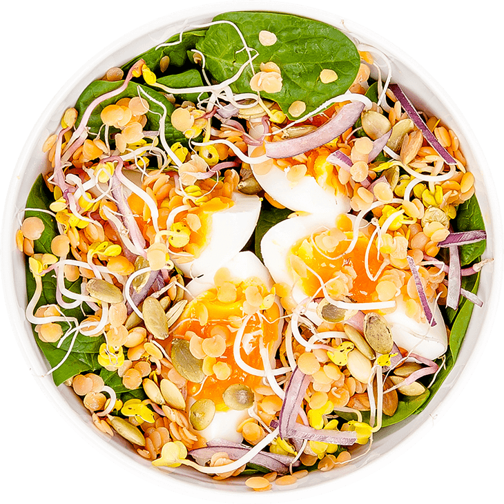 Salată cu ou și linte