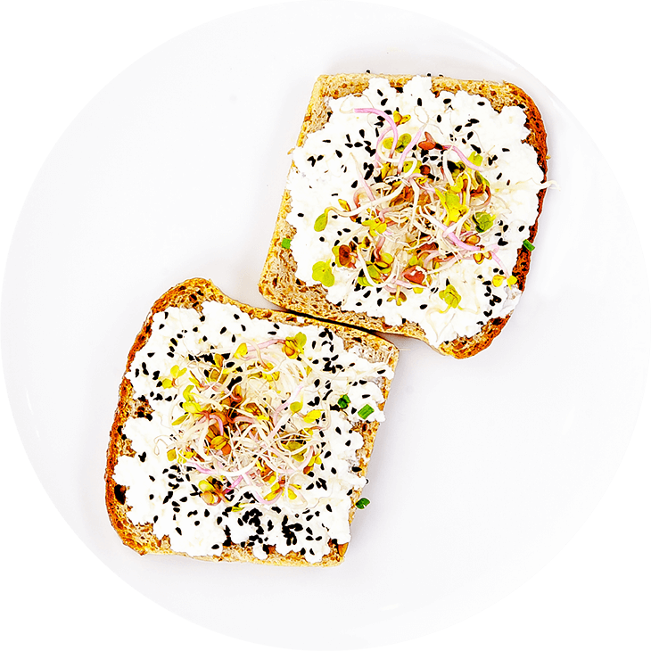 Sandwich with cottage white cheese and sprouts